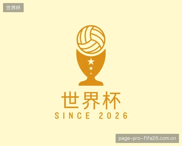 解读世界杯官方